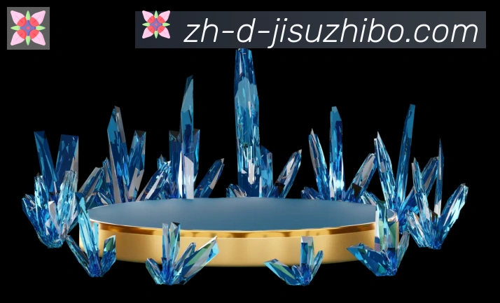 奖项证书
